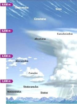 Infografic: Clasificarea norilor pe baza înălțimii și dezvoltării