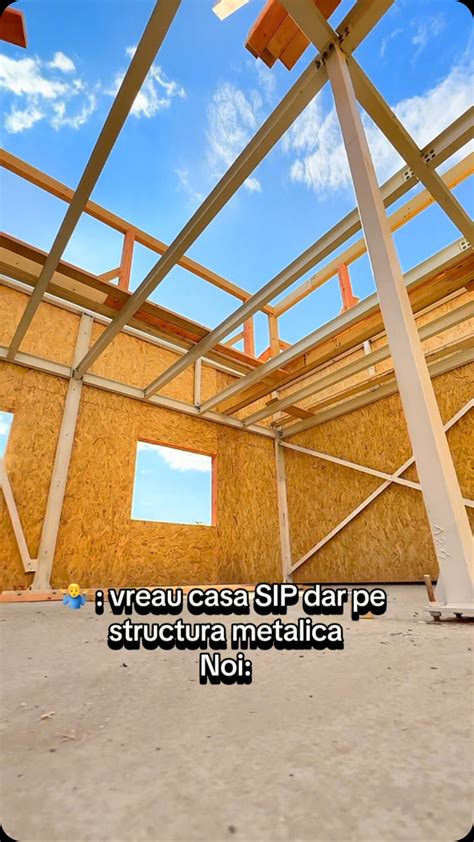Infografie: structură internă lemn și factori de degradare