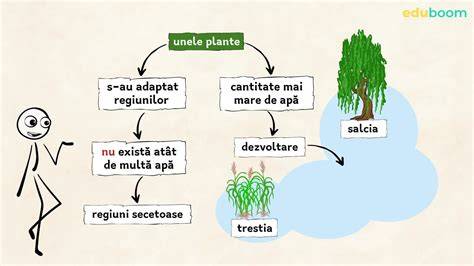 Schema palparea sânilor în poziții diferite