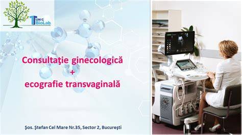 Infografic: Principalele pași ai ecografiei transvaginale