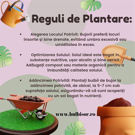 Schema de îngrijire după plantare: irigare, copilit, prășit