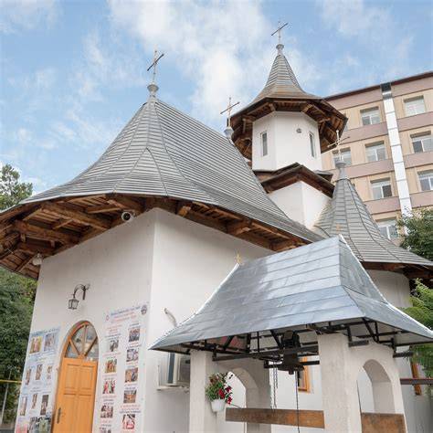 Istoricul și evoluția Institutului Gregorian și a structurii Maternității Cuza Vodă Iași
