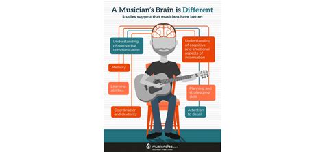 Diagramă ilustrând beneficiile expunerii muzicale timpurii la dezvoltarea creierului bebelușului