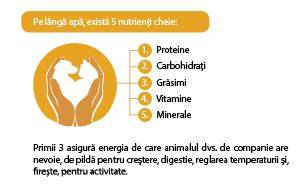 Infografic: Nevoi nutriționale ale bebelușilor prematuri