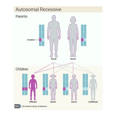 Diagrama genetică sintetizând transmiterea autosomal dominantă, autosomal recesivă și legată de X a ihtiozei