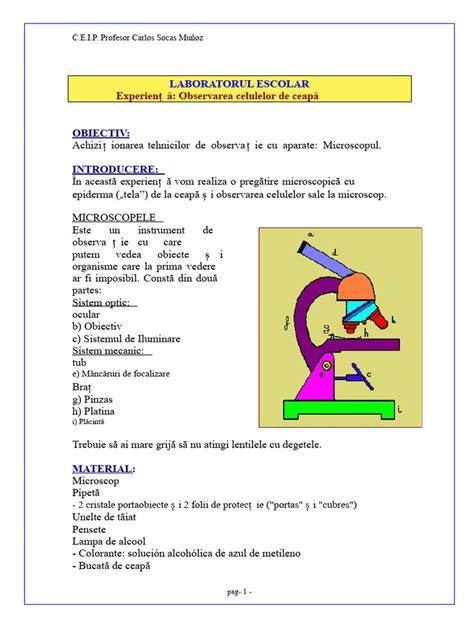 Celule keratinizate sub microscop - exemple de scuame tipice ihtioze