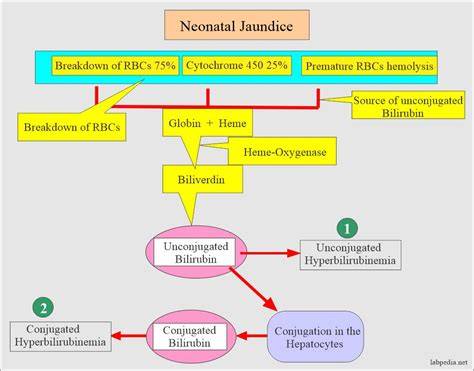 Infografic: evolution of neonatal jaundice timeline