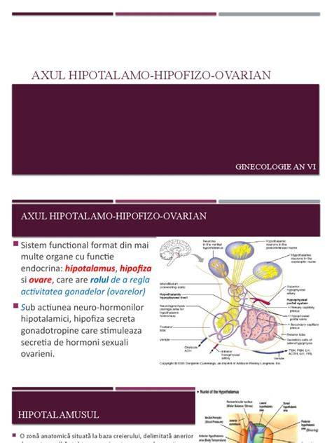 Imaginea unei scheme despre axul hipotalamo-hipofizo-corticosuprarenalian si hipocorticism