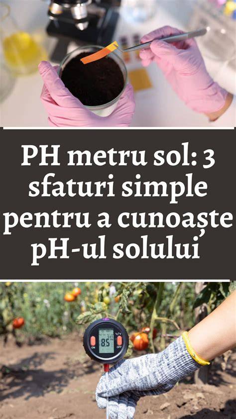 Infographic: Indicatori principali de fertilitate a solului (textură, afânare, pH, C/N, humus, bio‑activitate)