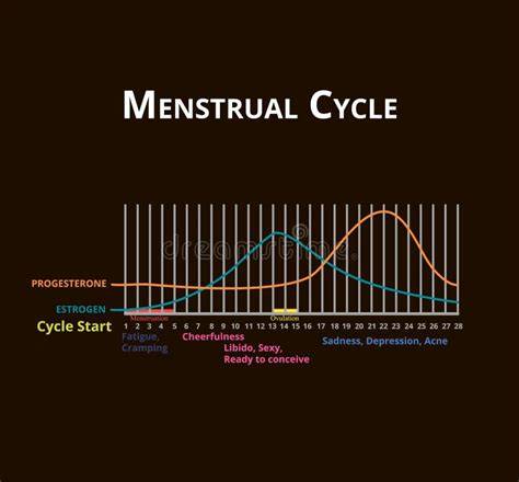 diagramă cicl menstrual și perioadă fertilă