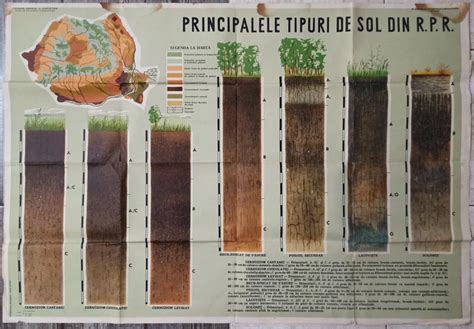 tabel - principalele tipuri de sol din Ucraina