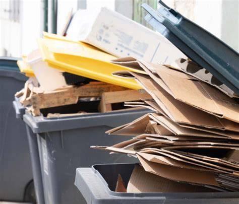 Infografic: materiale pentru fluturii decorativi (hârtie, carton, vinil, țesătură) și metodele de fixare
