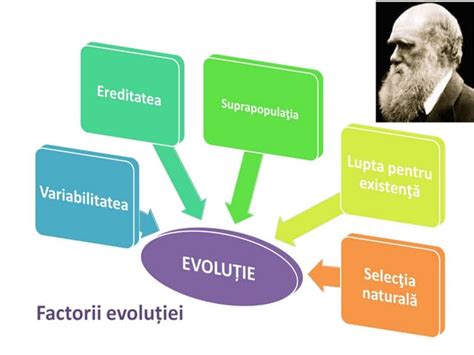 Diagramă clarificatoare: factori posibili ai colicilor la sugari