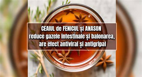Infografic: Ceaiul de fenic pentru colici - mod de preparare, doze recomandate și precauții