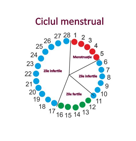 Infografic: Model de ciclu menstrual și perioade fertile