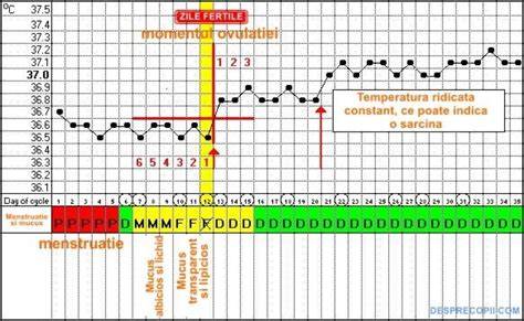 Grafic: cum crește temperatura bazală după ovulație