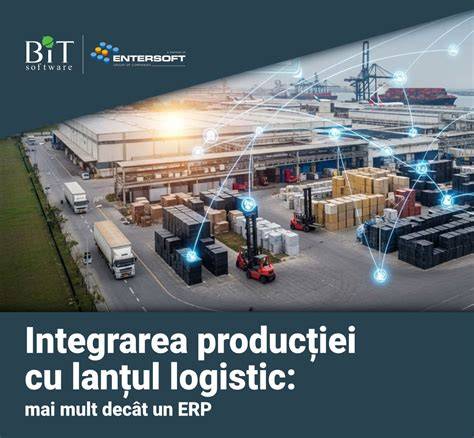 Infografic despre rolul transportatorilor si expeditorilor in lantul logistic