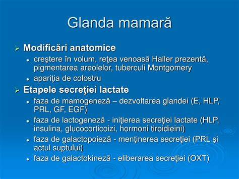 Infografic: Modificări anatomice ale uterului în sarcină (nivele: mărire, influx sangvin, poziționare)