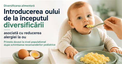 Infografie: etapele diversificării de la 6 la 12 luni, tipuri de alimente, ritm de introducere