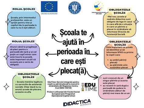 Infografic: Etapele travaliului și rolul ștergerii în pregătirea nașterii