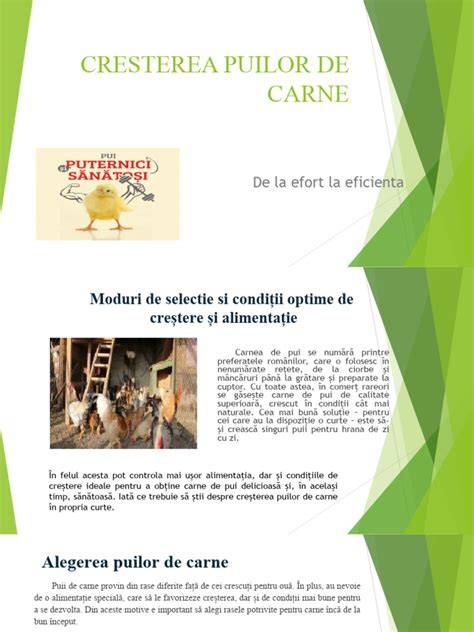 Infografic: climate control în cuibul puilor de câine