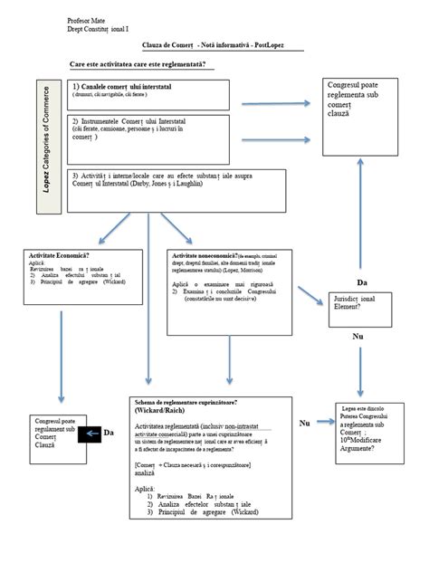 Diagrama fluxului tratamentului multidisciplinar
