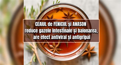 Infografic: Cum poate ajuta ceaiul de anason la colici - mecanisme posibile și dozaj sigur