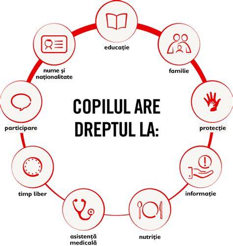 Infografie: drepturi ale copilului conceput de la concepție la naștere