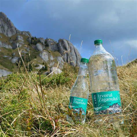 Vizită la sursa de apă minerală - munții Carpați, izvor natural