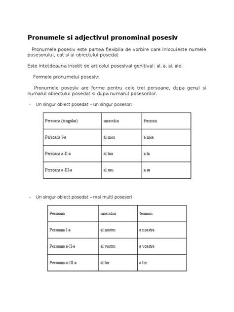 Infografica sintetizand sintaxa adjectivului posesiv si a pronumelui posesiv
