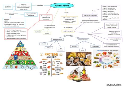 Schema distribuirii macronutrienților la sugari