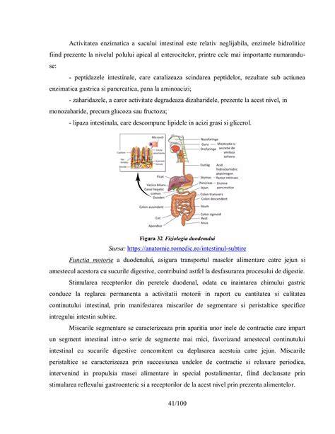 Diagramă cu scaunul intestinal si fluxul gazelor la sugari