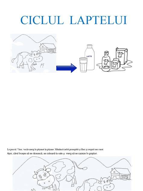 Infografic: ciclul laptelui matern si producția lactată