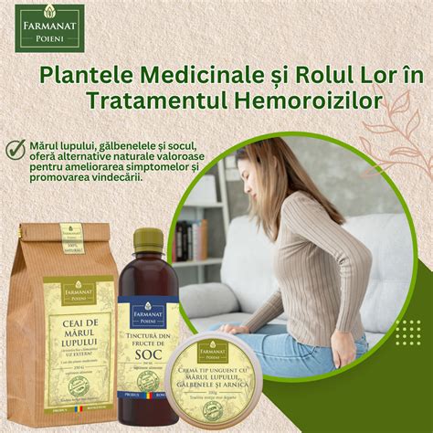 Infografic despre plantele Menosan și rolul lor în amenoree și menopauză