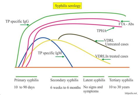Infografic: Scheme despre testarea sifilisului in sarcina (VDRL/RPR, TPHA)