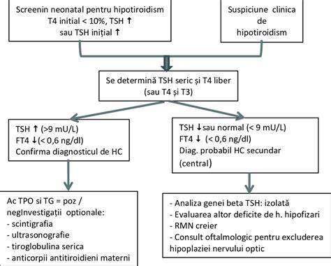 Diagrame de algoritm de testare sifilis (screening vs. confirmare) în sarcină