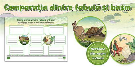 Infografic: Comparația dintre tetina fiziologică Chicco și alte modele pentru bebeluși prematuri