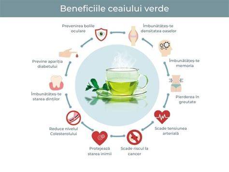 Infografic: Compozitia ceaiului verde si principalele beneficii