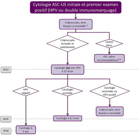 Infografie: fluxul diagnostic ASCUS si HPV, etapele investigatiei si deciziile terapeutice