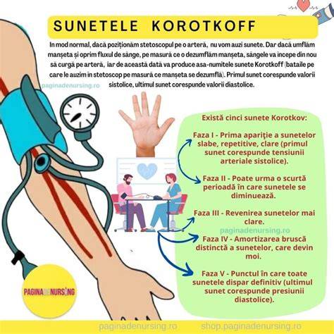 Infografic: Măsurarea tensiunii arteriale în ambele brațe - pași simpli