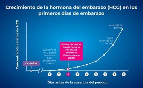 Schema cronologiei implantării de la ovulație la detectarea hCG