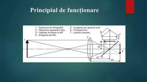 Infografic: Principiul de funcționare al testelor de sarcină (hCG, anticorpi, intrigare vizuală)