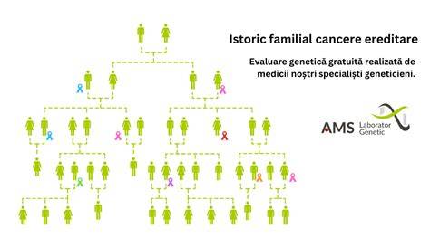 Diagrame de flux pentru decizii în testarea genetică preconcepțională