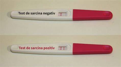 Infografic: cum functioneaza testul de sarcina (hCG, anticorpi, linia C si T)
