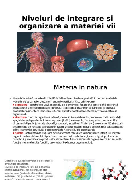 Infografic: Semnificația nivelurilor de procalcitonină