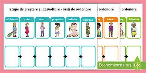 Diagramă cu etape de creștere a copilului de la naștere la 7 ani și produse asociate