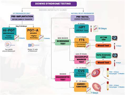 Infografic: etape screening prenatal sindrom Down