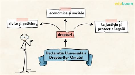 Infografic despre drepturile reproductive