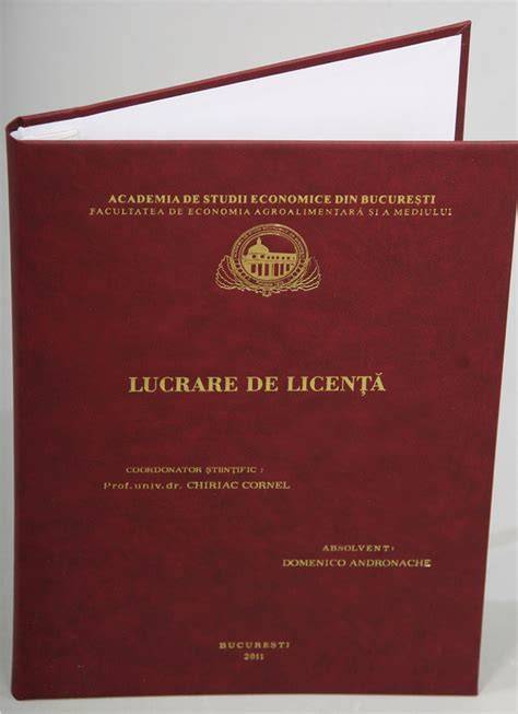 Diagrame: fluxul decizional în alegerea temei pentru lucrarea de licență