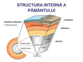 Structura internă a unui centru maternal